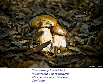 >Foto frase de Confucio 2