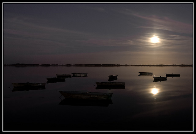 LA NOCHE OSCURA