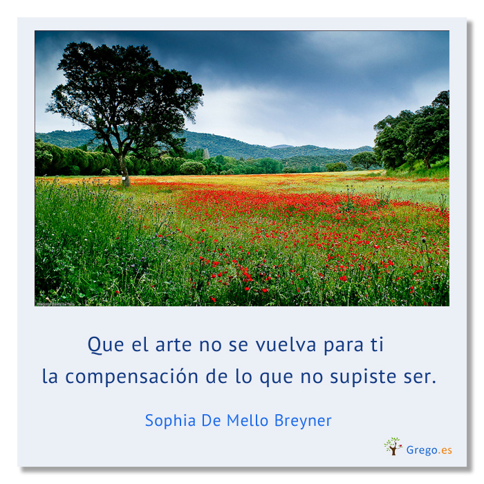 foto-frase-05