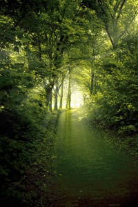 into the light