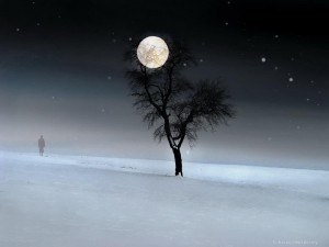 Evening