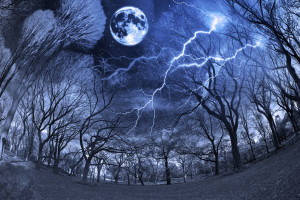 moonstruck