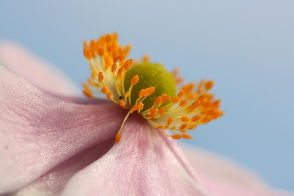 ACEPTACIÓN Y RESPETO, por Jack Kornfield