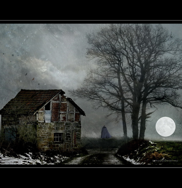 House of Shadows