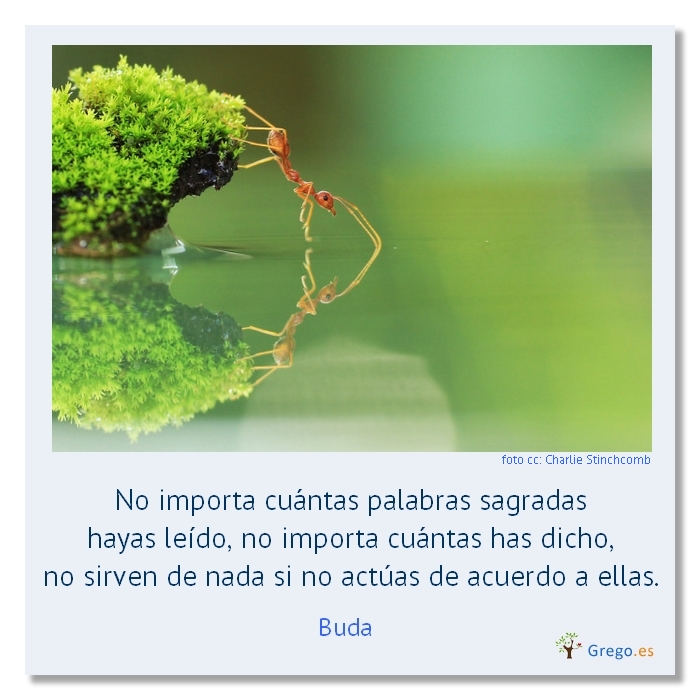 ACTUAR