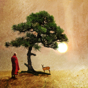 gentleness
