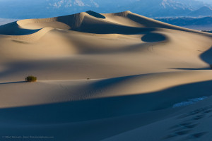 Mesquite Flat Sand Dunes  at sunrise 25 Feb 2013 in Death Valley