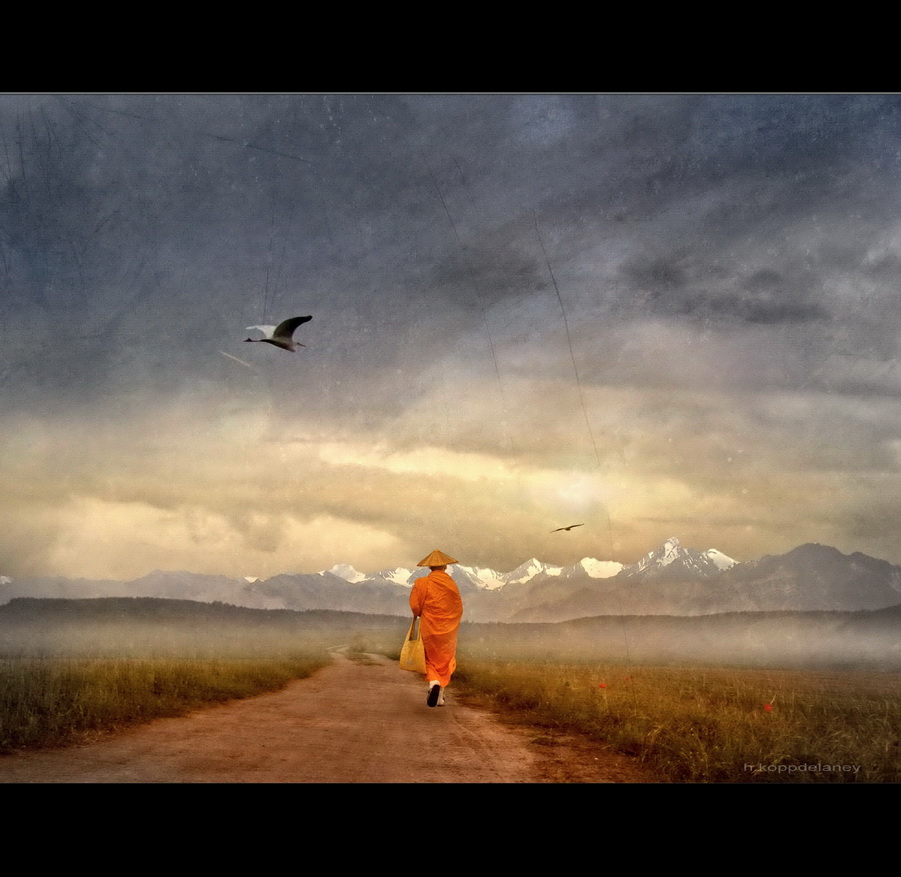 MEDITAR ES POSIBLE, Y NECESARIO, por Pema Chodron