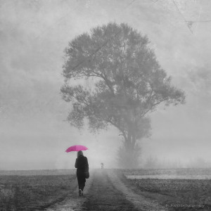 A Pink Umbrella Morning