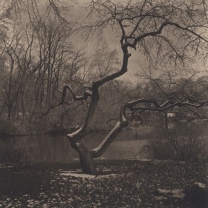 shikama_takeshi_central park 18