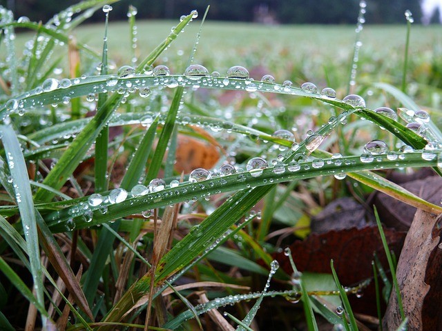 http://pixabay.com/es/users/ernie-38507/