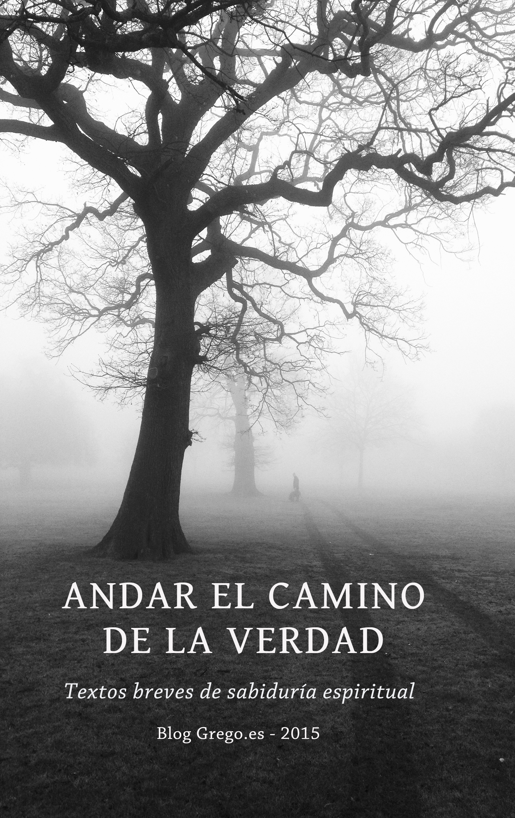 LIBRO DEL BLOG «ANDAR EL CAMINO DE LA VERDAD» – 2015
