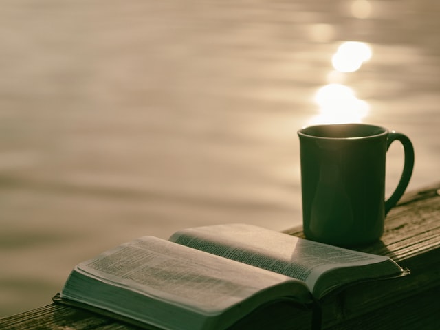 LA ESCRITURA Y LA PALABRA por Christian Bobin
